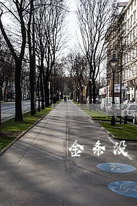 金条没有逾期过但用不了了 金条没有逾期过但用不了了