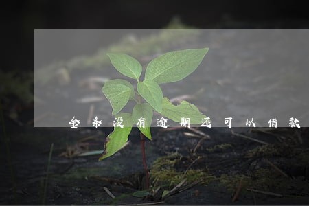 金条没有逾期还可以借款吗 金条没有逾期还可以借款吗