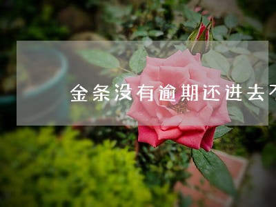 金条没有逾期还进去不会用了 金条没有逾期还进去不会用了