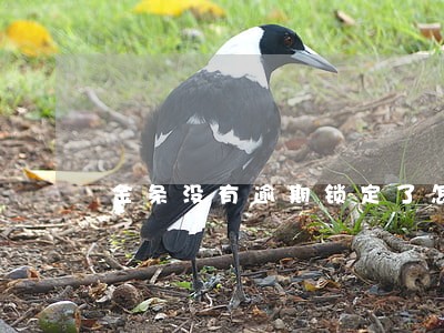 金条没有逾期锁定了怎么解锁 金条没有逾期锁定了怎么解锁