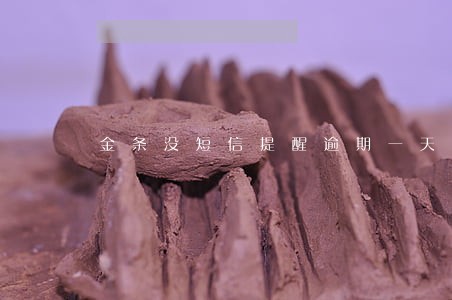 金条没短信提醒逾期一天