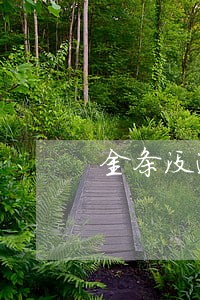金条没逾期不能借了 金条没逾期不能借了