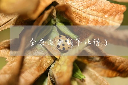 金条没逾期不让借了 金条没逾期不让借了