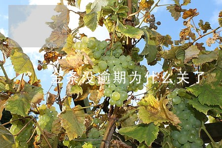 金条没逾期为什么关了 金条没逾期为什么关了