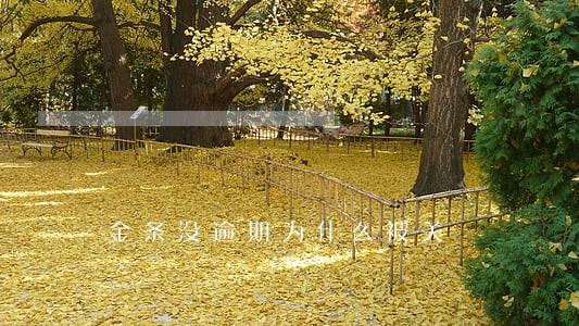 金条没逾期为什么被关 金条没逾期为什么被关