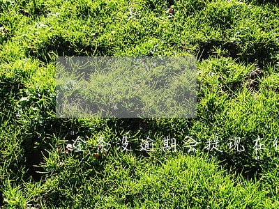 金条没逾期会提现在征信上吗 金条没逾期会提现在征信上吗