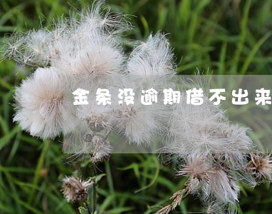 金条没逾期借不出来了 金条没逾期借不出来了