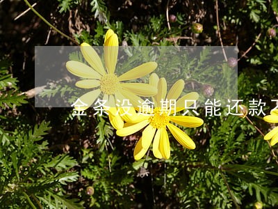 金条没逾期只能还款不能借了 金条没逾期只能还款不能借了