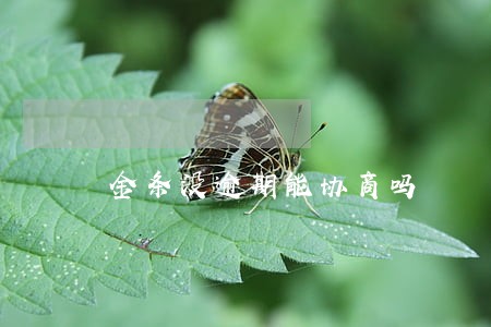 金条没逾期能协商吗 金条没逾期能协商吗