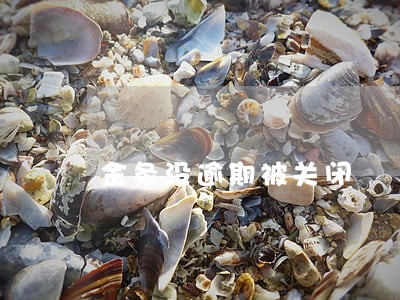 金条没逾期被关闭 金条没逾期被关闭