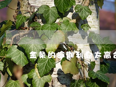 金条的逾期利息太高合法吗 金条的逾期利息太高合法吗