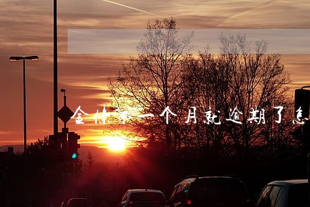 金条第一个月就逾期了怎么办