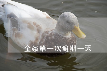 金条第一次逾期一天 金条第一次逾期一天
