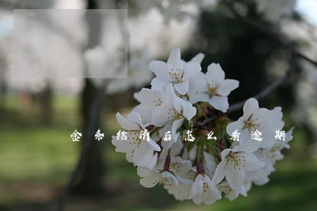 金条结清后怎么看逾期 金条结清后怎么看逾期