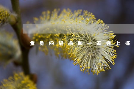 金条网贷逾期一天会上征信吗 金条网贷逾期一天会上征信吗