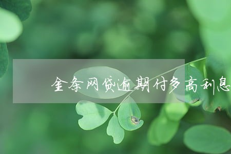 金条网贷逾期付多高利息