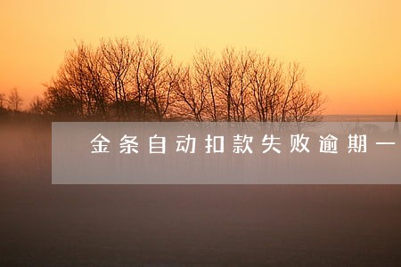 金条自动扣款失败逾期一天 金条自动扣款失败逾期一天