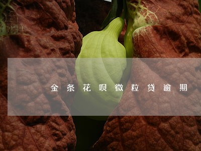 金条花呗微粒贷逾期 金条花呗微粒贷逾期