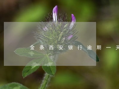 金条西安银行逾期一天上征信 金条西安银行逾期一天上征信