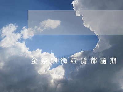 金条跟微粒贷都逾期 金条跟微粒贷都逾期
