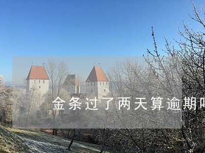 金条过了两天算逾期吗 金条过了两天算逾期吗