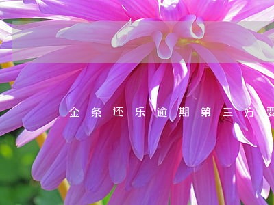 金条还乐逾期第三方要全款 金条还乐逾期第三方要全款