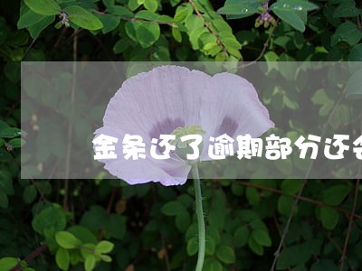 金条还了逾期部分还会上门吗 金条还了逾期部分还会上门吗