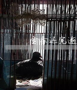金条还完逾期为什么还要催收 金条还完逾期为什么还要催收