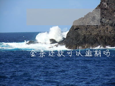 金条还款可以逾期吗 金条还款可以逾期吗
