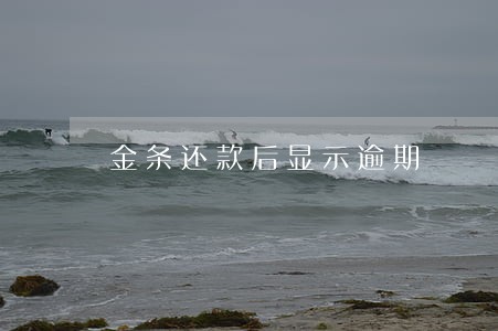 金条还款后显示逾期
