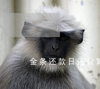金条还款日还款算逾期吗