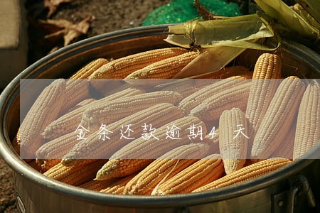 金条还款逾期4天 金条还款逾期4天