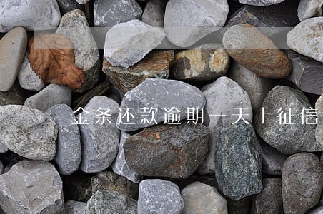金条还款逾期一天上征信了