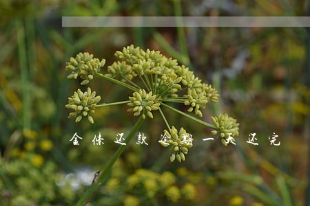 金条还款逾期一天还完