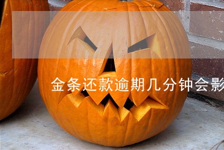 金条还款逾期几分钟会影响征信吗 金条还款逾期几分钟会影响征信吗