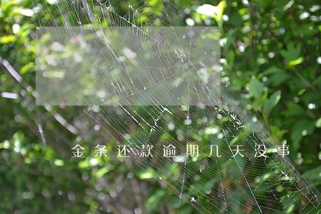 金条还款逾期几天没事 金条还款逾期几天没事