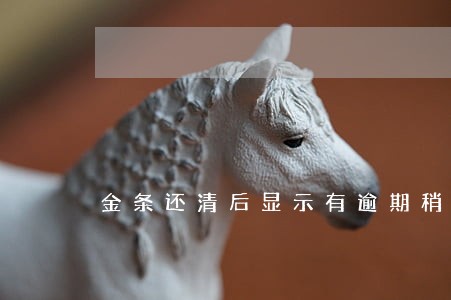 金条还清后显示有逾期稍后重试 金条还清后显示有逾期稍后重试