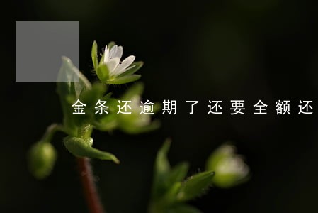金条还逾期了还要全额还 金条还逾期了还要全额还