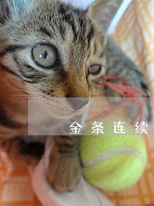 金条连续两个月逾期七天