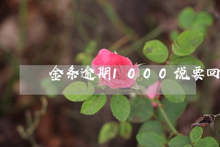 金条逾期1000说要回访 金条逾期1000说要回访