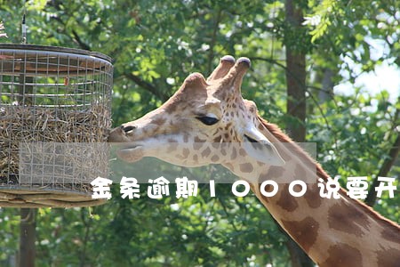 金条逾期1000说要开庭