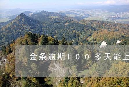 金条逾期100多天能上门吗 金条逾期100多天能上门吗