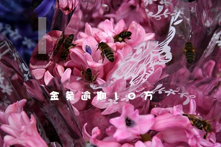 金条逾期10万 金条逾期10万