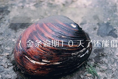 金条逾期10天了还能借吗 金条逾期10天了还能借吗