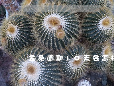 金条逾期10天会怎样 金条逾期10天会怎样