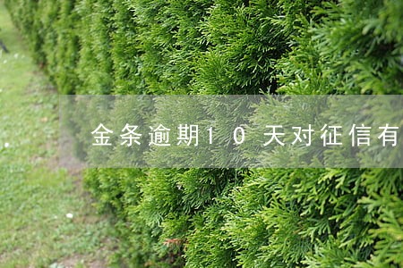 金条逾期10天对征信有影响吗