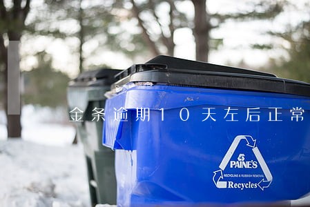 金条逾期10天左后正常还款 金条逾期10天左后正常还款