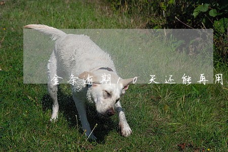 金条逾期10天还能再用吗 金条逾期10天还能再用吗