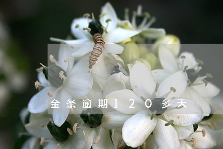 金条逾期120多天 金条逾期120多天