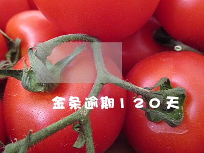 金条逾期120天 金条逾期120天